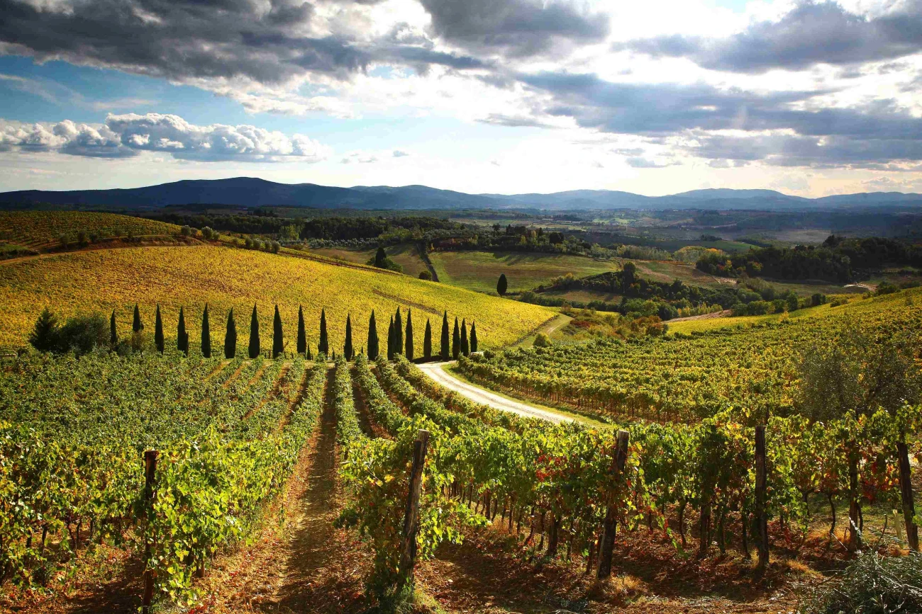 Campagna toscana